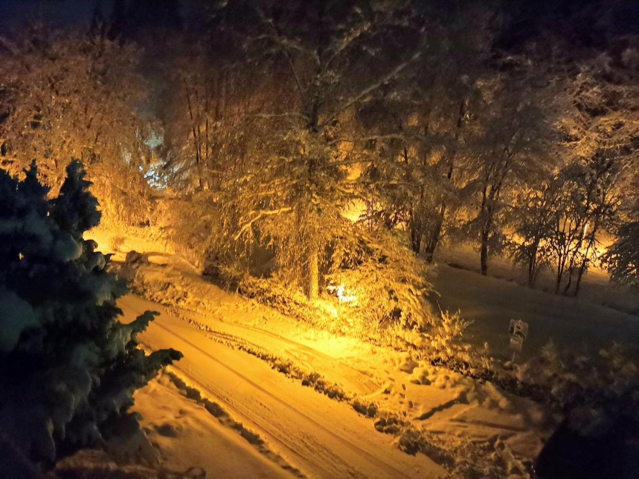 Hotel Waldsee Waldachtal Dış mekan fotoğraf