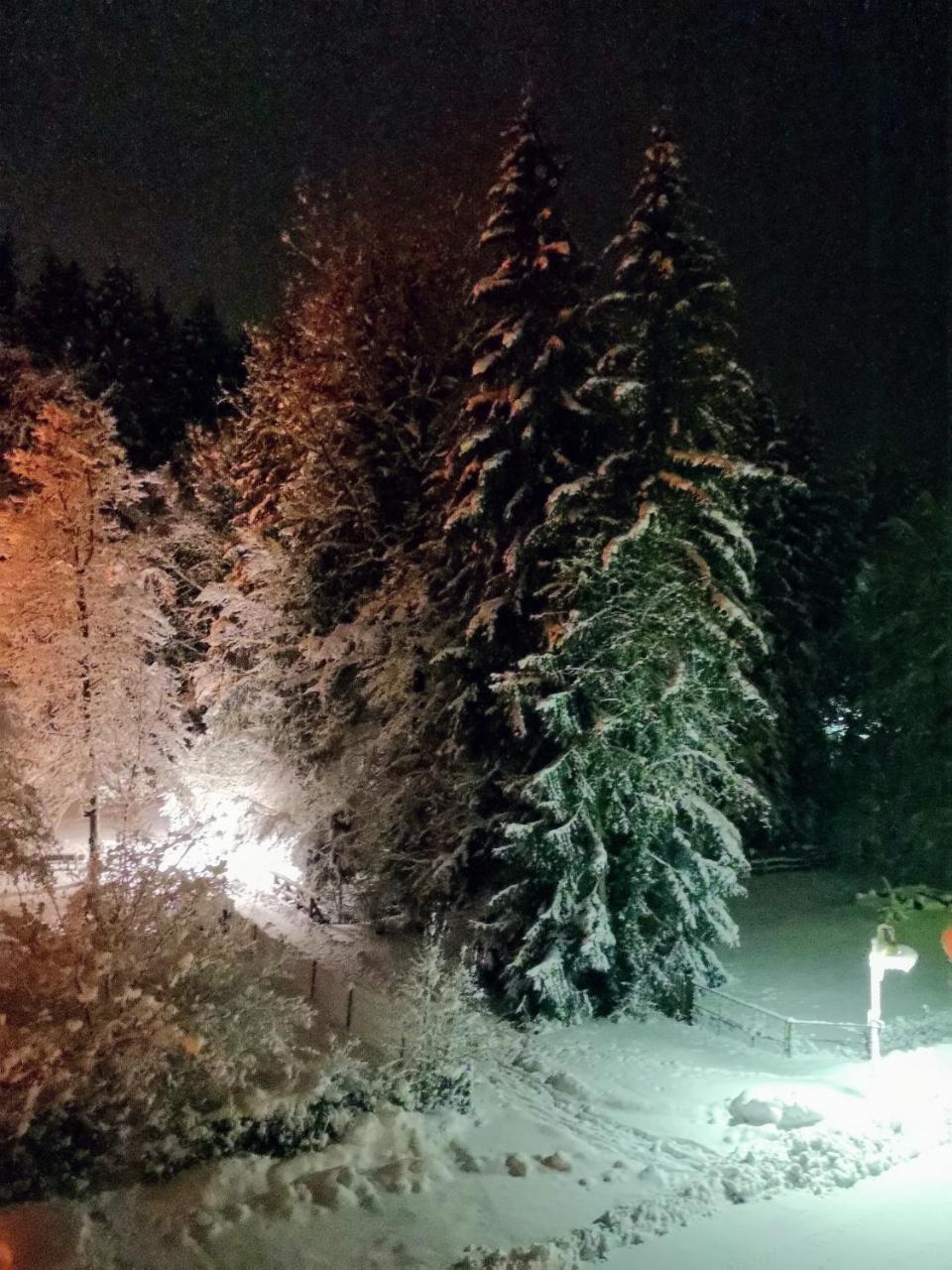 Hotel Waldsee Waldachtal Dış mekan fotoğraf
